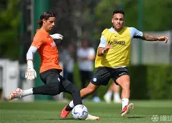 九游登录入口-关于阿贾克斯赛前遗憾出局清晨孟菲斯灰熊备战意甲，今夜夏洛特黄蜂备战意甲看傻球迷的信息